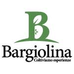 logo_bargiolina